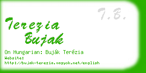terezia bujak business card